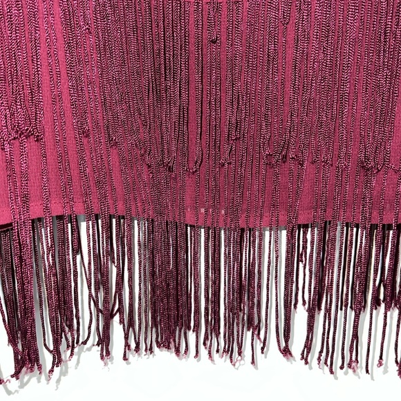 Lovers + Friends x Revolve Fringe Mini Dress - Picture 6 of 6